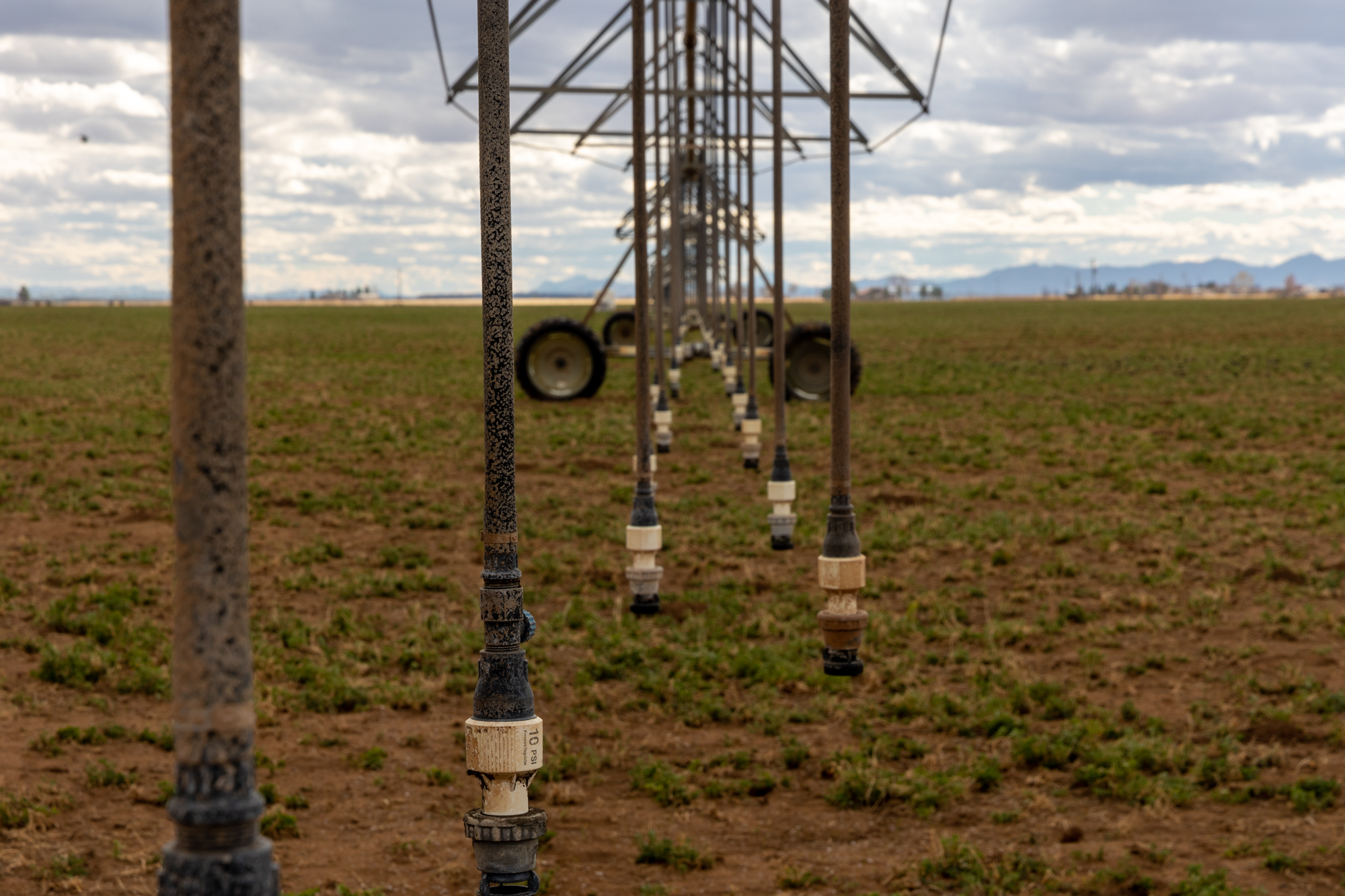 Sprinkler system