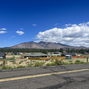 Fire-scarred mountains near Flagstaff.